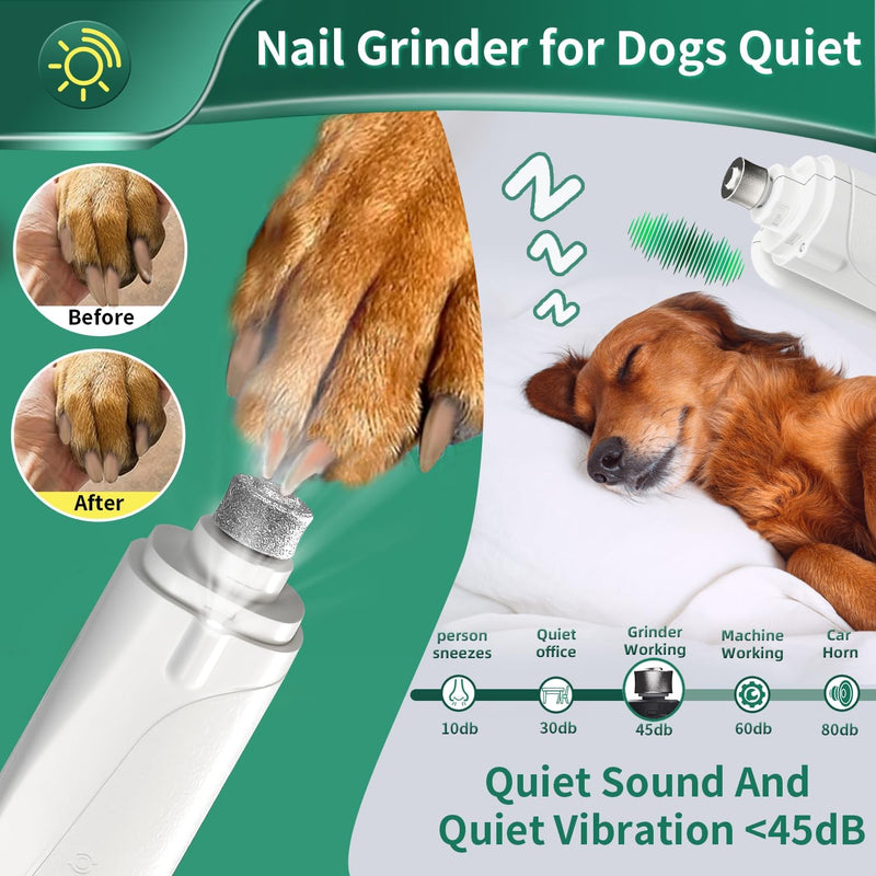 2 in 1 Dog Nail Clippers & Cat Nail Clippers Trimmers for Large Medium Small Dogs Cats Claw Trimmer Quick Sensor and Safety Guard USB Rechargeable Dogs Nail Trimmer with Catcher & 2 LED Lights White - PawsPlanet Australia