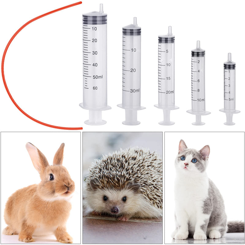 10 Pack Puppy Kitten Feeding Tube Kit Include 5 Pack 8 FR Red Rubber Puppy Feeding Tube and 5 Pack Clear Kitten Feeding Syringe 5 ML 10 ML 20 ML 30 ML 60 ML for Feeding Goat Kitten Puppy Small Animals - PawsPlanet Australia