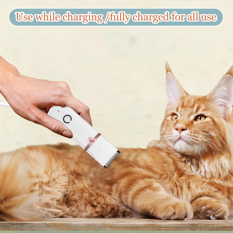 Dog Grooming Clippers, Upgrade Waterproof Cordless Low Noise 4-in-1 Cat Trimmer for Grooming, Rechargeable USB Dog Paw Trimmer - Includes 4 Guide Combs Preferred White - PawsPlanet Australia