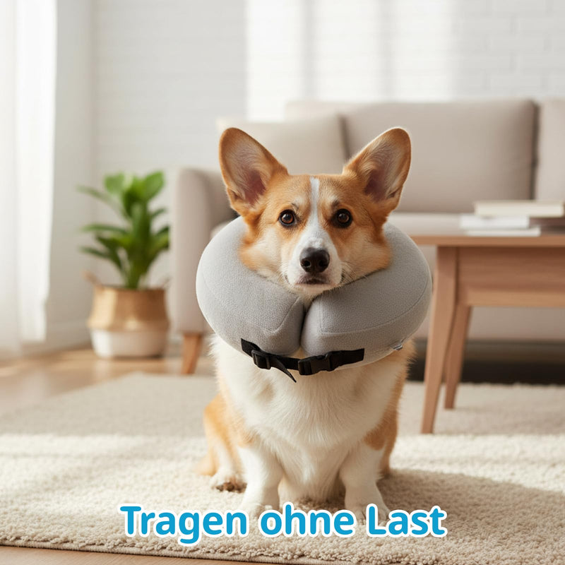 Inflatable Collar for Dogs with 1 Air Pump, Grey Dog Collar, Soft Dog Collar, Leak Protection for Dogs, Kittens, Leak Protection for Neck Circumference 25-36 cm
