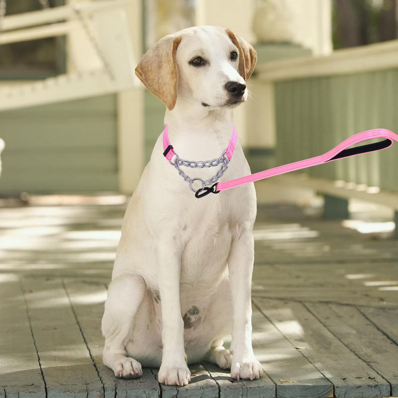 Serijoars Martingale Dog Collar, Trainer Approved Limited Slip Collar with Stainless Steel Chain, Modified Cinch Collar for Gentle & Effective Pet Training (Pink, M) Pink - PawsPlanet Australia
