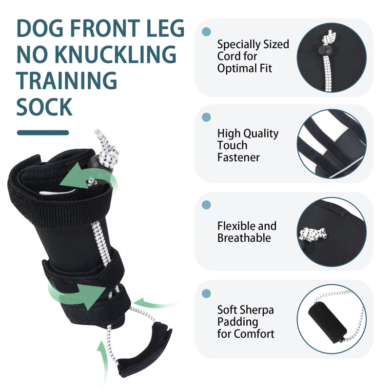 Dog Knuckling Brace, Dog Toe Grips for ACL Injury, Hock Fracture, Arthritis & Meniscus Tears, Rear Legs, L