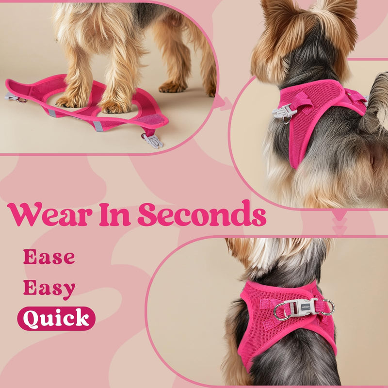 rabbitgoo Small Dog Harness, Step-in Soft Mesh Puppy Vest with Safety Buckle, Breathable Reflective Pet Harness for Small Sized Dogs, Rose Red S S(Chest:15.1"-16.5") - PawsPlanet Australia