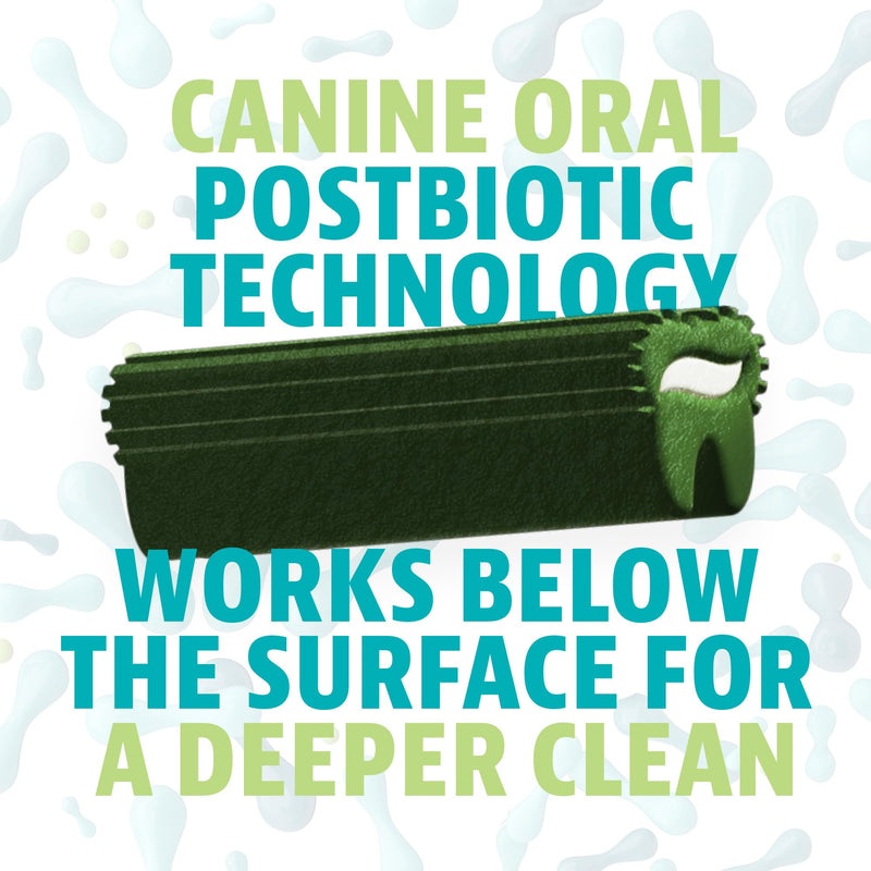 Dinovite Dental Chews for Dogs, Triple Action Dental Dog Treats for Medium Breeds, Clinically Proven to Prevent Plaque & Tartar While Freshening Breath, Fresh Mint Flavor, Made in USA, 20 Count Medium Dogs (25-50 lbs) - PawsPlanet Australia