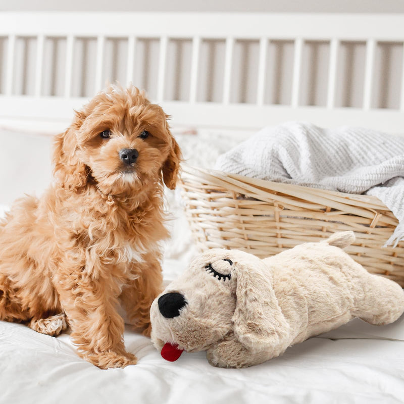 3T group Heartbeat Puppy Toy Sleep Aid for Dogs,Heartbeat Dogs Toys for Anxiety Relief,Stuffed Animal with Heartbeat for Puppy,Dog Heartbeat Toy for Puppy Plush Calming Toys Puppy Essentials(Beige) beige - PawsPlanet Australia