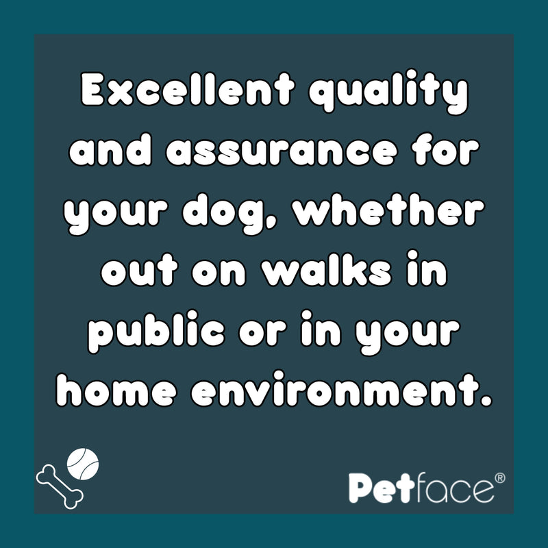 Petface Herringbone Leather Dog Collar, Large - PawsPlanet Australia
