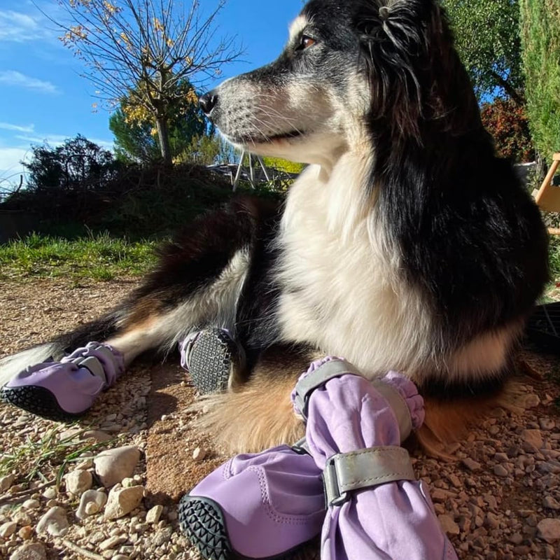 Spark Paws Water-Resistant Dog Boots for Medium Large Dogs, Anti-Slip Dog Shoe Booties Paw Protector for Rain Snow Hiking Reflective Straps 4PCS - Lilac, B B: 2.0"W | 23-33lbs - PawsPlanet Australia
