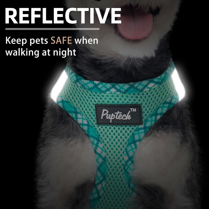 PUPTECK Dog Harness and Leash Set for Small Medium Dogs No Pull Step-in Soft Mesh Puppy Cat Vest Harnesses Reflective at Night, Green S S(CHEST 14.5"-16", 6.6-14 lbs) #1 Green(Basic Mesh) - PawsPlanet Australia