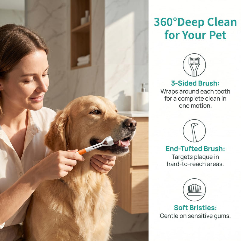 Dog Toothbrush 6PCS Set for Dogs & Cats, Dog Toothbrush, Cat Toothbrush, Dog Toothbrush, Pet Dental Care, Brushing Dog Teeth, Single Head, Double Head, Three Head Brush, Fine Toothbrush