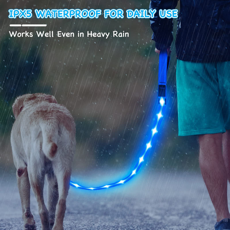 Weesiber Glowing Light Up LED Dog Leash - 4ft USB Rechargeable Flashing Nylon Leash for Small Medium Large Dogs, 3 Flash Modes Blue - PawsPlanet Australia