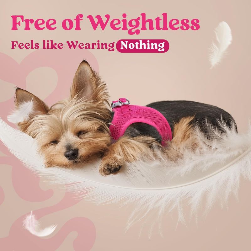 rabbitgoo Small Dog Harness, Step-in Soft Mesh Puppy Vest with Safety Buckle, Breathable Reflective Pet Harness for Small Sized Dogs, Rose Red S S(Chest:15.1"-16.5") - PawsPlanet Australia