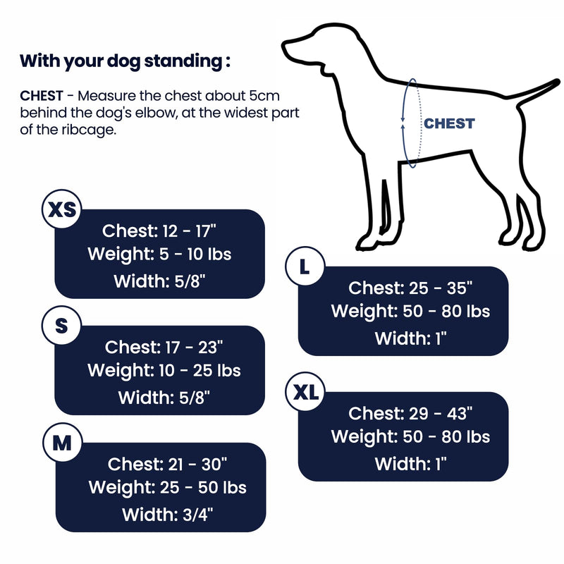 Non-Restrictive No Pull Dog Harness, Neck Buckle Design, Easy Walk Freedom Harness Keep Balance, Six Points Adjustment, for Large Dogs Chest(25-35 inches) Black L Black/Grey - PawsPlanet Australia