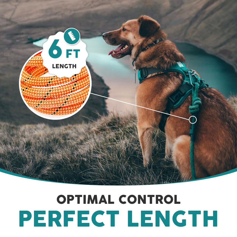 Embark Urban Dog Harness with Sierra Leash with Leash Clips, 6 feet of Leash Length, Adjustable, Soft & Padded for Comfort, No Chafing, rubbing or discomfort for Your Dog (Large)