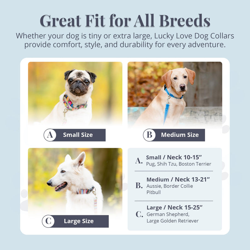 Lucky Love Dog Martingale Dog Collar - Adjustable, No-Slip, Comfortable, Durable, Soft Webbing & Stylish Patterned Collar for Male and Female Dogs Ideal for Training & Walking - Laguna, Small Small Collars (10-15") - PawsPlanet Australia