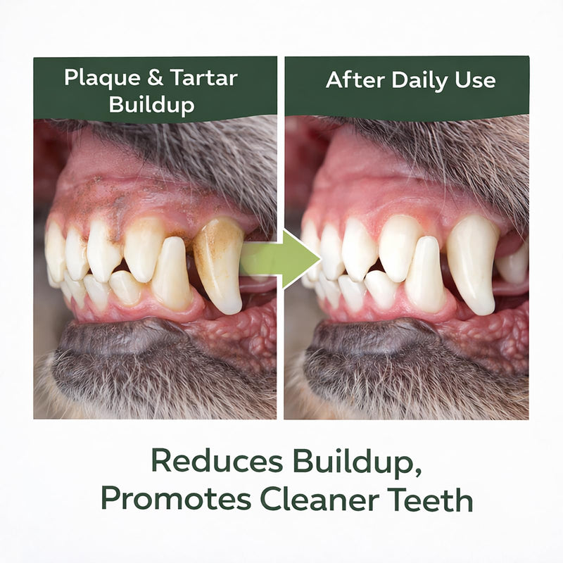 Dental Powder DE-01 - Dog Dental Powder Supplement for Teeth Cleaning Powder to Reduce Plaque, Tartar Build-up, and Bad Breath, Oral Microbiome Balance - 2oz - PawsPlanet Australia