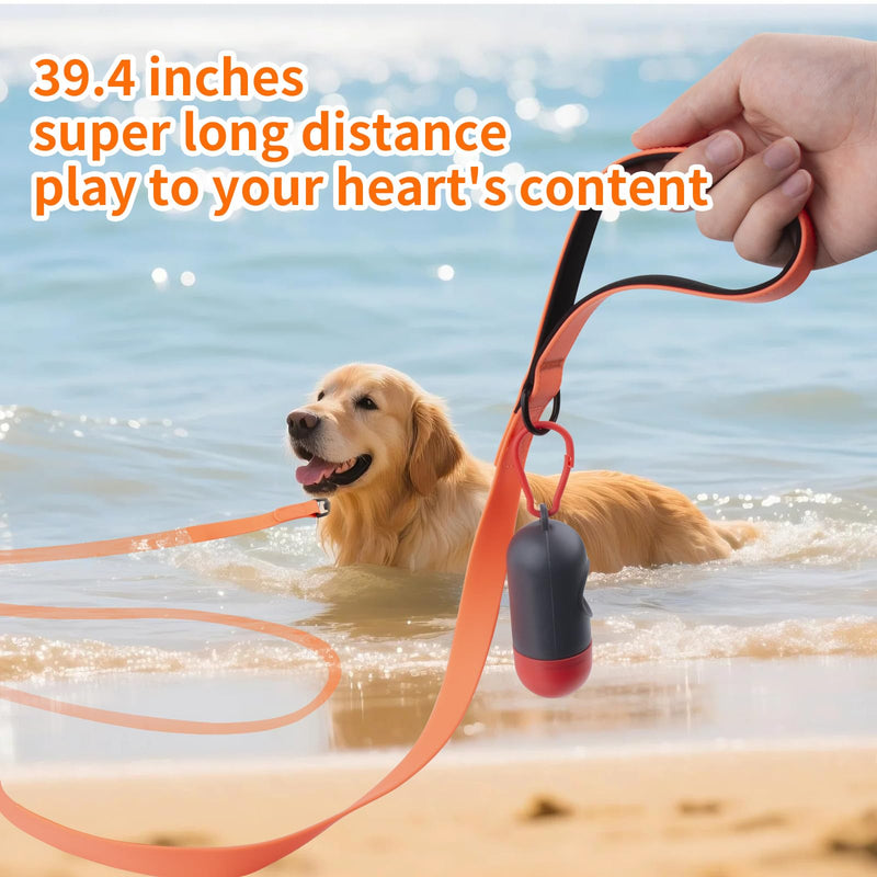 Waterproof Long Dog Leash,16ft Dog Training Leash for Outside Large Medium Small Dogs Outside Walking, Playing, Padded Handle for Recall Training,Hiking, SwimmingCamping, or Yard(Orange) - PawsPlanet Australia
