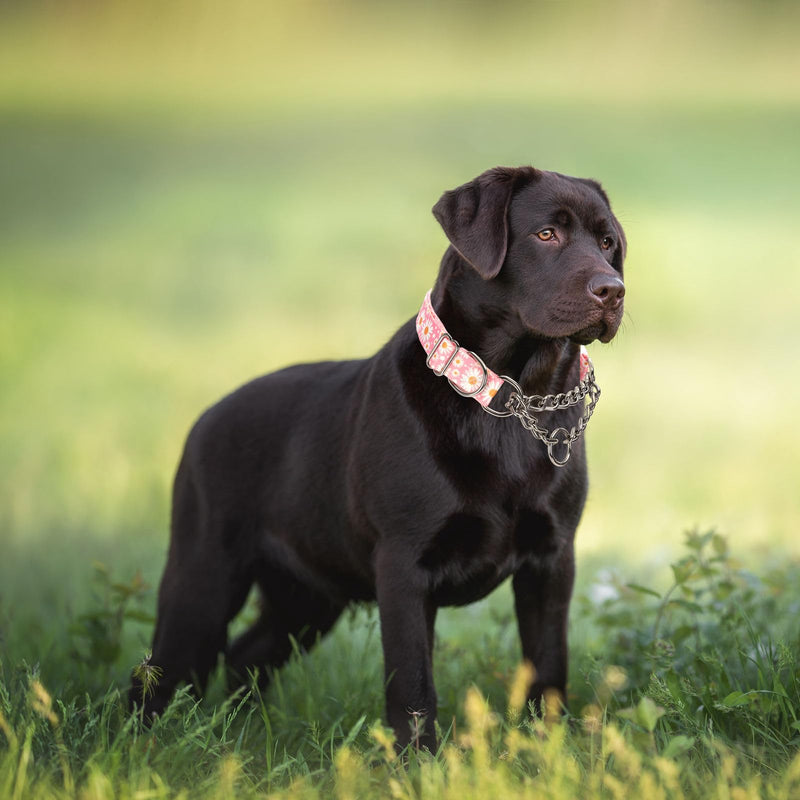 Stainless Steel Chain Martingale Collar for Dogs, No Pull Slip Cinch Choker Choke Collar Training Escape Proof Heavy Duty Dog Collar for Small Medium Large Pet Girl Female Dogs, Pink Daisy XL XL(Neck22-28") - PawsPlanet Australia