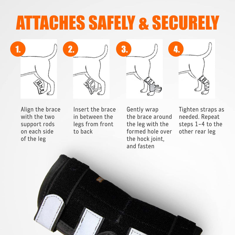 NeoAlly - 3-in-1 Long Rear Leg Hock Brace, Dog Leg Brace for Rear Leg with Rigid & Spring Inserts, Hock and Ankle Support, Dog Leg Sleeve with Reflective Straps, Large, 1 Pair