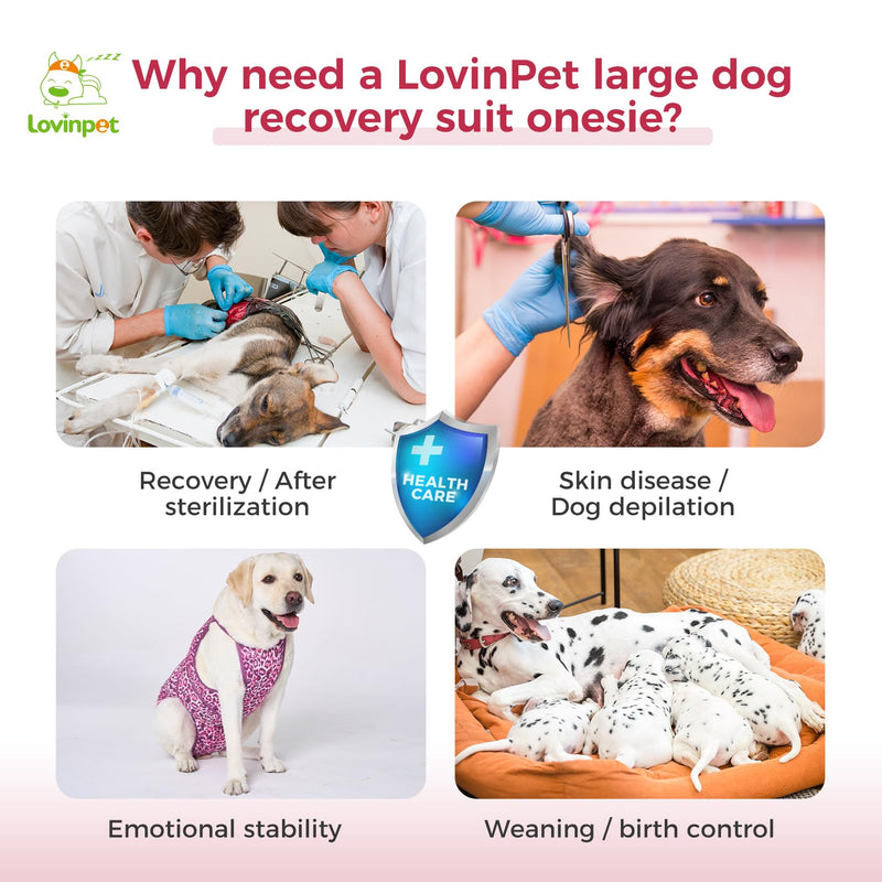 LovinPet Dog Recovery Suit for Large Medium Dogs - Professional Large Dog Recovery Suit,Post-Operative Vest E-Collar Alternative,Legs Without Coverage Design, Leopard Print Style, Pink,XXXL 3XL - PawsPlanet Australia