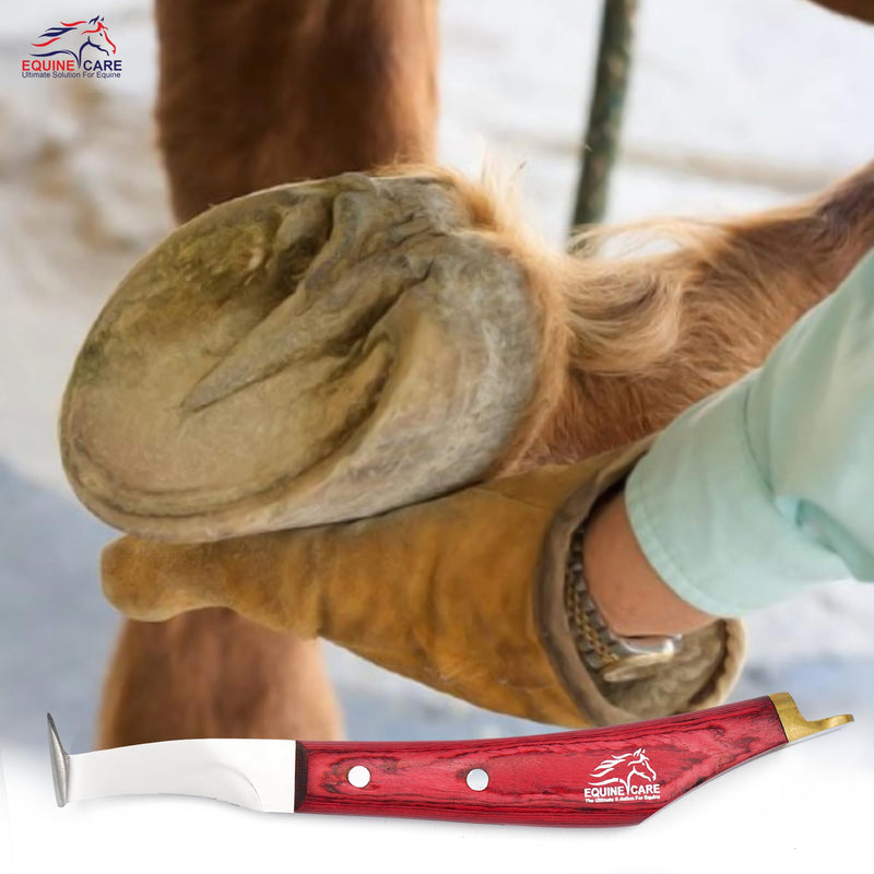 Hoof Knife - J2 Japanese Steel Blade with Hoof Pick, Brass Topper Sheet Handle - Farrier Tool for Horse & Cow Hoof Care, Shoeing, Trimming, and Supplies. (Right-Handed) Right-Handed - PawsPlanet Australia