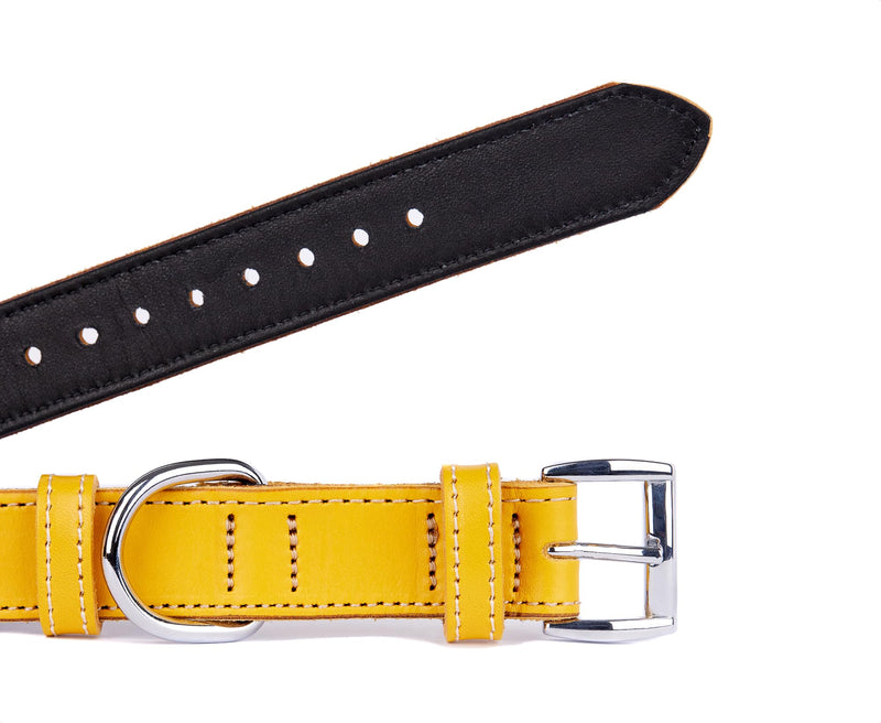 Soft Leather Dog Collar | Dog Collars for Small, Medium and Large Dogs | Durable Heavy Duty Dog Collars X-Large: Neck 19.7"-22.8" Yellow - PawsPlanet Australia