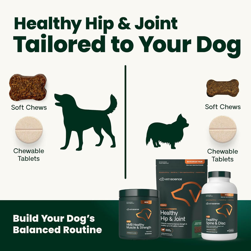 VETRISCIENCE Glycoflex 3 Maximum Strength Hip & Joint Support for Small Dogs Under 30lbs - Glucosamine, DMG, MSM & Green Lipped Mussel - Great Tasting - Vet Recommended, (0900669.060) - PawsPlanet Australia