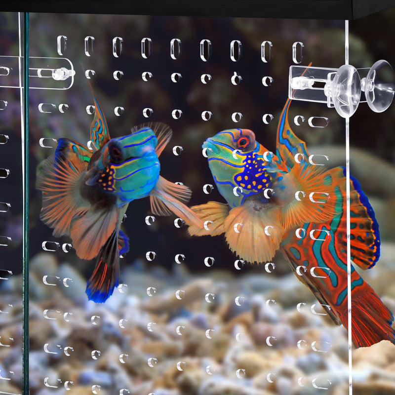 Fish Tank Divider 55 Gallon, Adjustable Aquarium Divider Kit with Suction Cups, Clear Fish Tank Divider Clips, Acrylic Fish Tank Isolation Board (fish tank divider 55 gallon) fish tank divider 55 gallon - PawsPlanet Australia