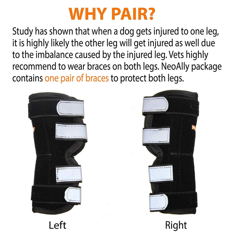 NeoAlly Dog Canine Braces for Rear Legs Super Supportive with Dual Metal Spring Inserts to Stabilize Dog Hind Legs, Help Dogs with Injuries, Sprains, Arthritis, ACL (M Pair) M (1 Pair)