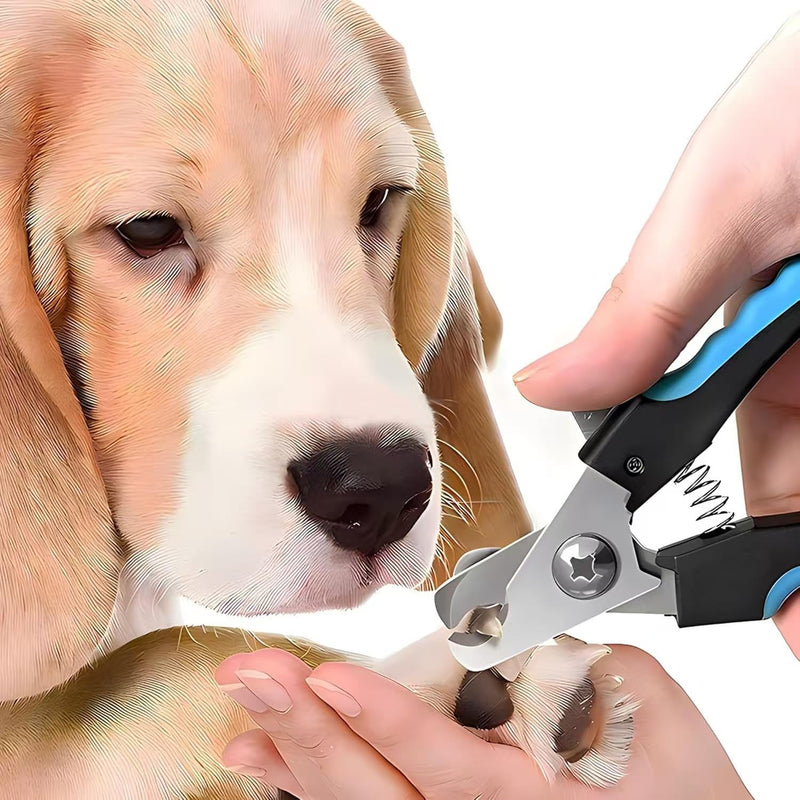 Ultimate 4-Piece Pet Grooming Kit | Stainless Steel Nail Clipper, Deshedding Brush, Metal Comb & Tools for Cats & Dogs | Easy to Use, Perfect for Beginners | Groom Hair, Nails & Ears Effortlessly - PawsPlanet Australia
