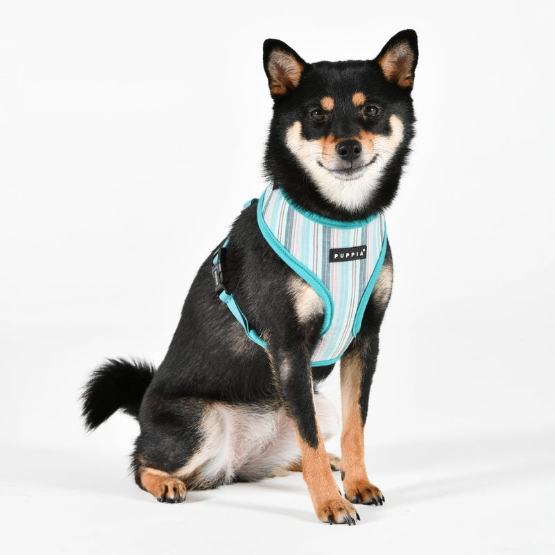 Puppia Theros Dog Harness A (Over-The-Head) Fashionable Striped Pattern Spring Summer Harness for Small and Medium Dogs, Aqua, Medium AQUA_THEROS