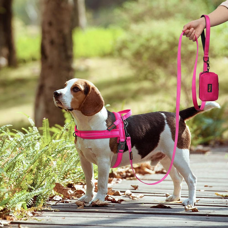 Didog No Pull Dog Harness with Soft Mesh Padded,Reflective & Quick Fit Light Weight Dog Strap Vest Harness,Easy for Walking Training (S:Chest 18-22", Mesh-Hot Pink) S: Chest 18-22", Fit 19-29 lbs Hot Pink - PawsPlanet Australia
