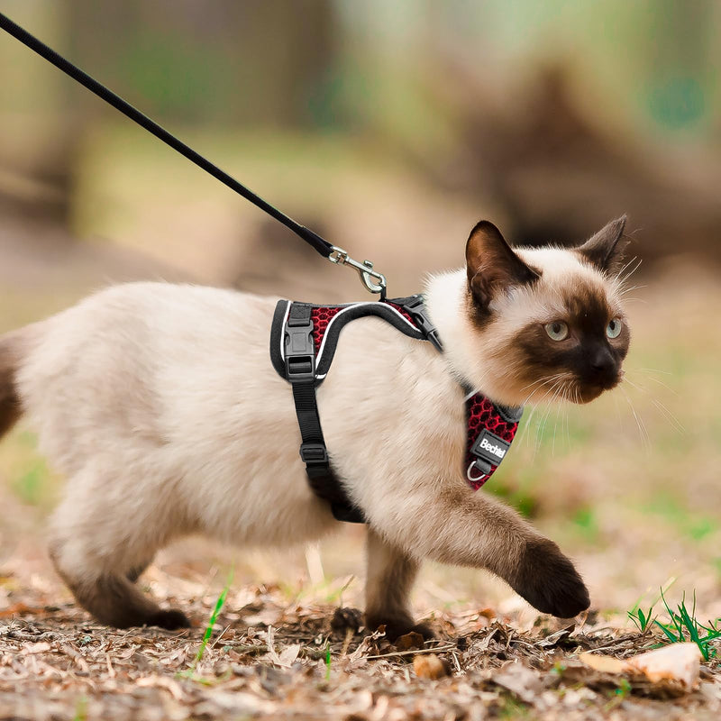 at Harness and Leash for Walking Escape Proof Soft Adjustable Cat Leash Breathable Honeycomb Structure Comfortable Vest Easy to Wear Kitten Harness for Outdoor Travel, Honeycomb Red, M Medium (13-18lb) - PawsPlanet Australia