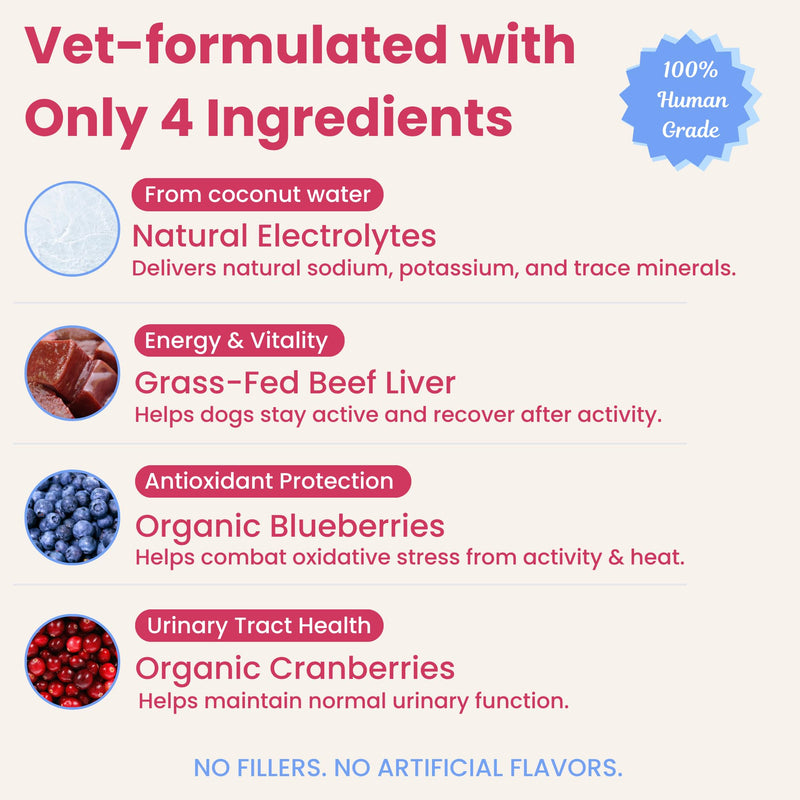 Dog Electrolytes – Hydration Support for Heat, Travel & Exercise – Helps Prevent Dehydration & Encourage Drinking – Water Flavor Enhancer with Electrolytes for Dogs, 12 Sticks