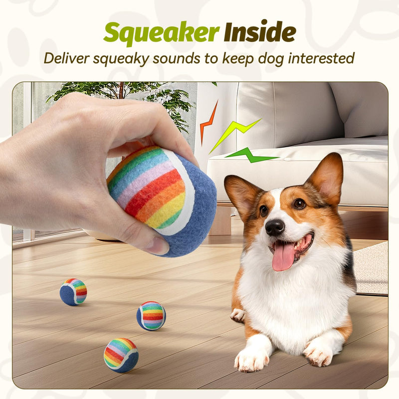 Nobleza Squeaky Tennis Balls for Dogs, 12 Pack 2.5“ Floatable Dog Tennis Balls for Small Medium Dogs, Training Safe Natural Rubber Dog Toys Balls for Dogs to Fetch Exercise, Rainbow - PawsPlanet Australia