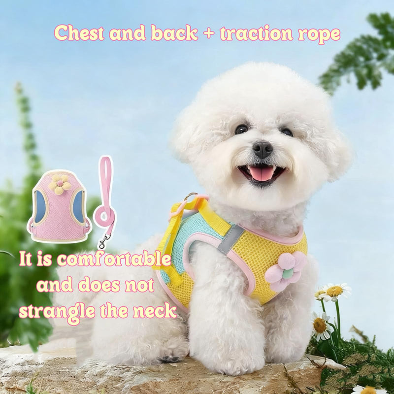 Floral Mesh Dog Harness with Matching Leash, Summer Lightweight Pet Vest, Pink/Yellow (Pink, M:8-12lbs) - PawsPlanet Australia