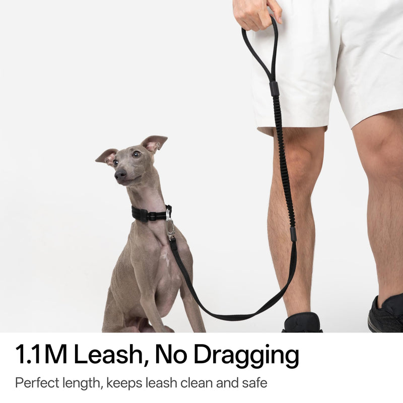 Ultra Comfort Dog Leash Soft Padded Comfortable Handle Alloy Clip Shock Absorbing Bungee Leash for Outdoor Walking Jogging for Small Medium Large Dogs Up to 110lbs (Midnight Black, S) Midnight Black - PawsPlanet Australia