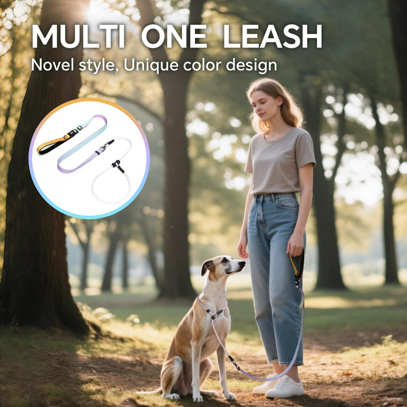 QQPETS Adjustable Slip Lead Dog Leash, Hands Free Waist Leash for Dog Walking, Reflective Training Lead with 360° Swivel Anti-Tangle, 4-7 ft Length for All Breeds Color Gradient - PawsPlanet Australia