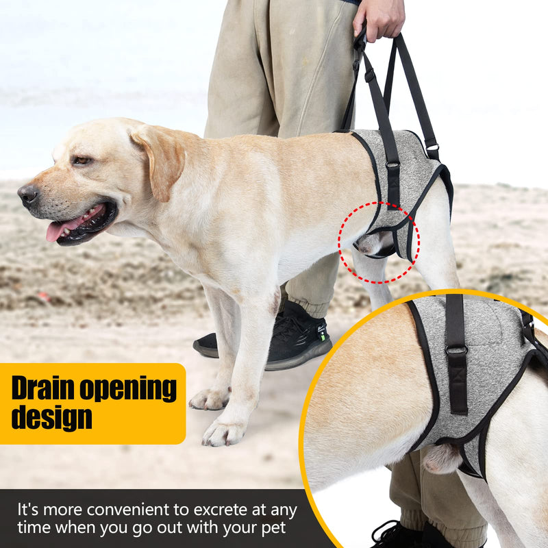Dog Lift Harness for Back Legs - Adjustable Support Sling for Injured, Disabled & Elderly Dogs, Soft Padded Leg Brace Aid for S/M/L Dogs, Walking & Rehab Support (Grey, L) Grey