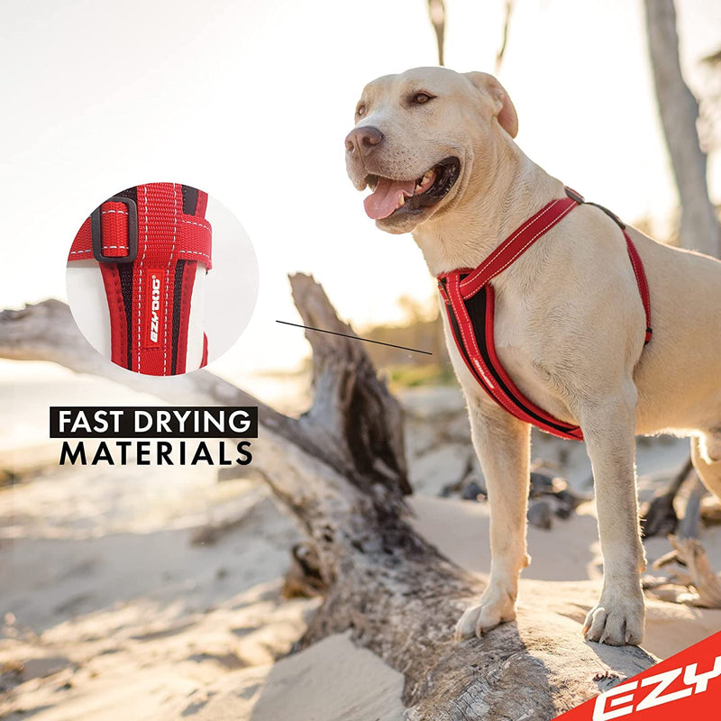 EzyDog Chest Plate No Pull Dog Harness – Escape Proof Harness with Reflective Stitching and Comfort Padding for Easy Walks, Training & Control - Car Restraint Included (Medium, Red) Medium - PawsPlanet Australia