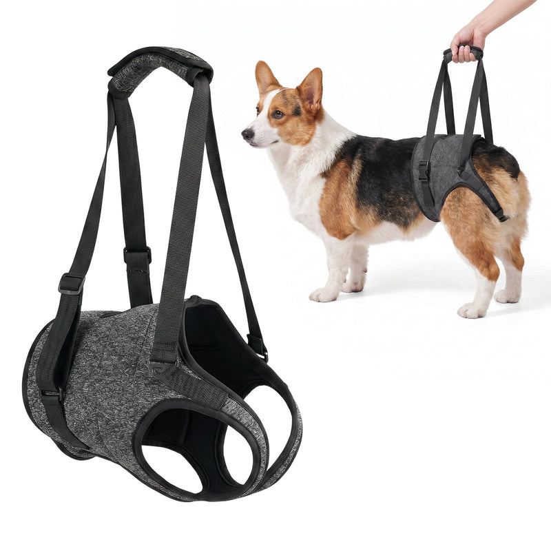Adjustable Dog Lifting Harness | Hip Support Sling Arthritis Dog Harness Disabled Dog Sling Elderly Dog Lifting Strap | Fits Small Medium Big Breeds | Padded Straps for Walks Stairs Car Rides Rehab(M) M
