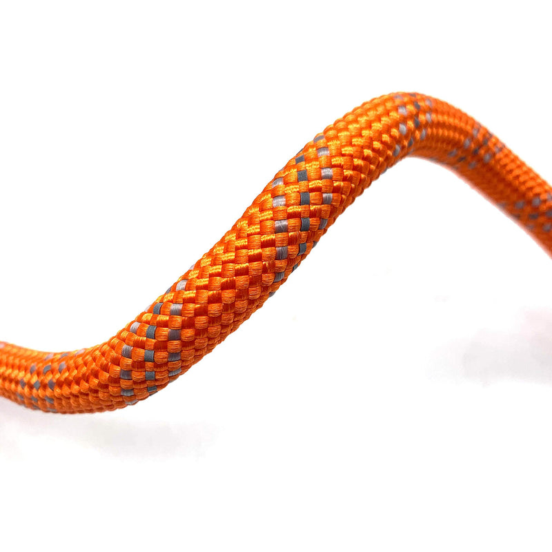 Locking Carabiner Dog Leash – Heavy Duty Rope Leash for Large & Medium Dogs | Reflective with Strong Clip & Padded Handle for Walking, Hiking, Running, Training - 6 Ft (Blaze Orange) Blaze Orange - PawsPlanet Australia