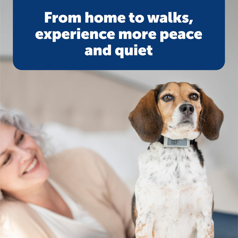 PetSafe Ultrasonic Bark Control Collar - Gentle No Shock Bark Training - Lightweight Comfortable Design - Water Resistant Dog Collar - Humane Anti Bark Device - PawsPlanet Australia
