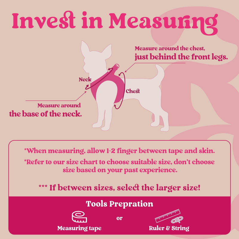rabbitgoo Small Dog Harness, Step-in Soft Mesh Puppy Vest with Safety Buckle, Breathable Reflective Pet Harness for Small Sized Dogs, Rose Red S S(Chest:15.1"-16.5") - PawsPlanet Australia