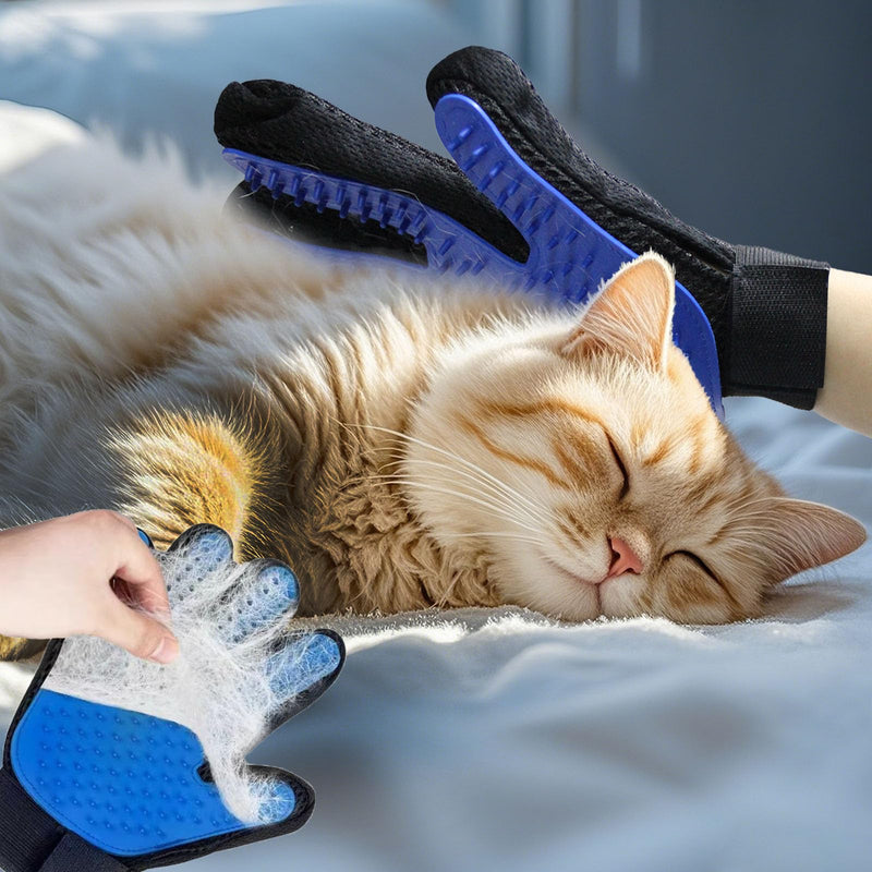 Cat & Dog Grooming Gloves - Deshedding Brush for Shedding, Gentle Pet Hair Remover & Massage Gloves for Cats, Dogs, All Fur Types (1 Brush +1 Pair Gloves) Gloves + Brush - PawsPlanet Australia