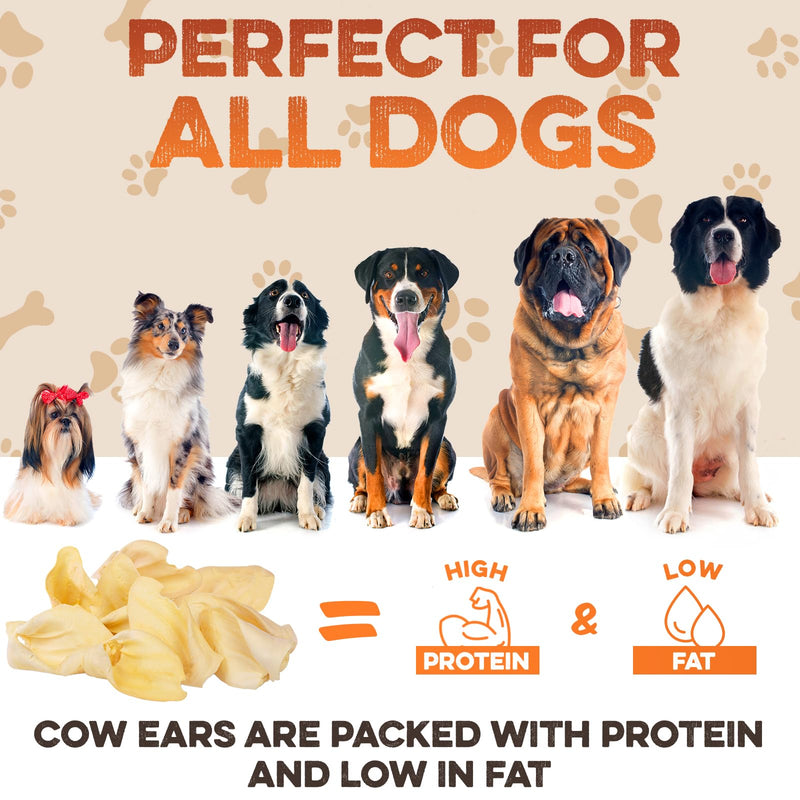 BRUTUS & BARNABY Cow Ears for Dogs – Whole Ears 12 ct, Thick Cut, Grass-Fed Angus Beef, All-Natural No-Rawhide Dog Treat Alternative 12 Count