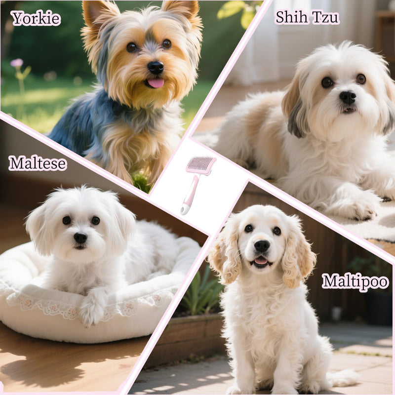 Self Cleaning Slicker Dog Brush for Small Long-Haired Breeds, One-Click Hair Removal, Puppy Essentials, Fit Yorkie, Shih Tzu, Maltese, Maltipoo, Pomeranian, Pet Grooming Tool (Light Pink) Light Pink - PawsPlanet Australia