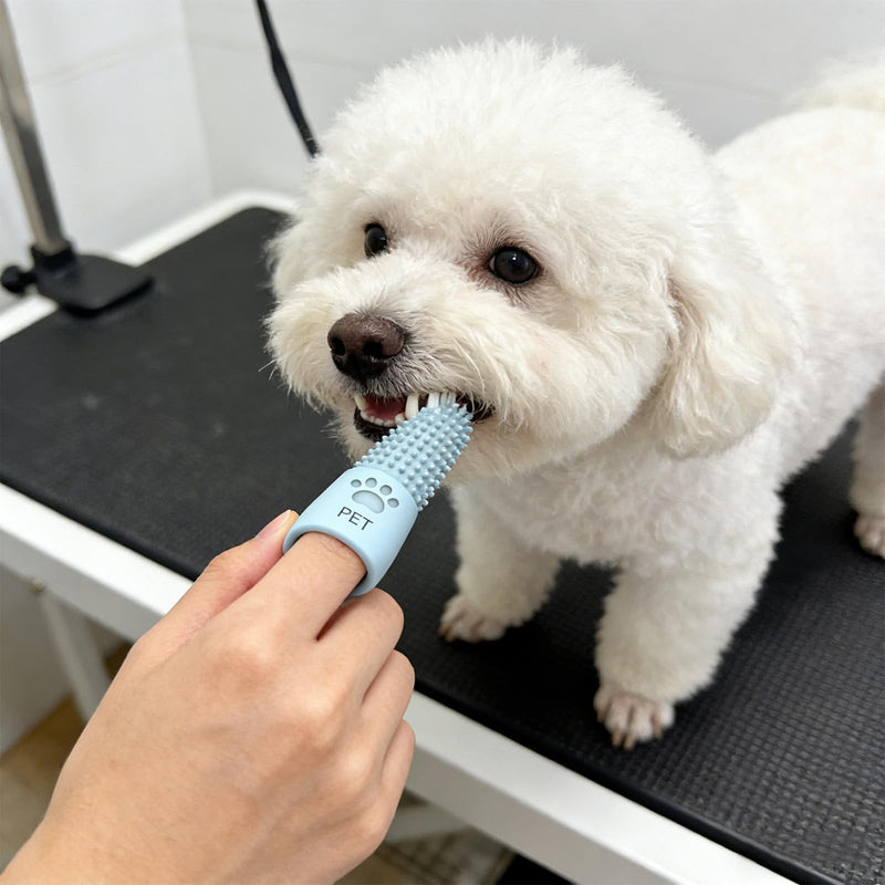 4-piece set of finger brushes for dog dental care, made of soft silicone, dog toothbrush with 360° bristles for cats and dogs, extended design to prevent slipping, gentle teeth cleaning – a must-have for pet lovers