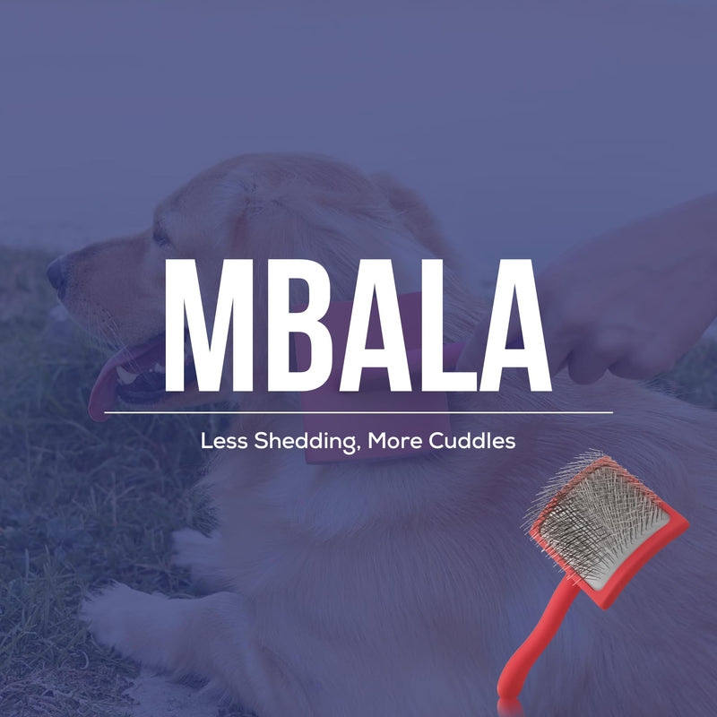 Mbala Curved Slicker Brush for Dogs – Professional Dog Brush for Shedding & Grooming, 30% More Pins, Ideal for Goldendoodles, Poodles & Long-Haired Dogs, Detangling & Deshedding, Large Coral