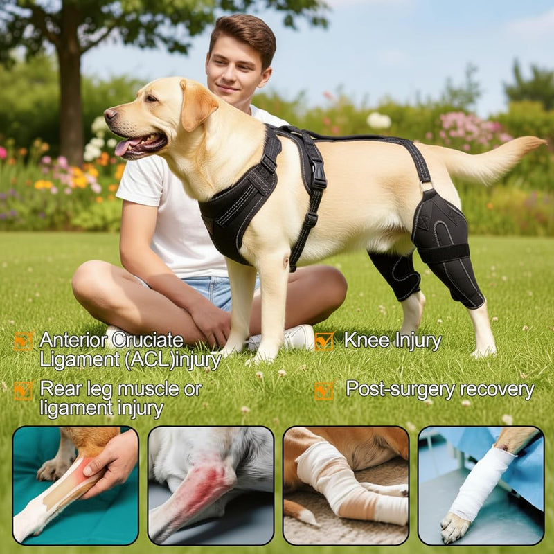 Dog Ligament Brace Support for ACL Injury Torn Recovery, Pet Adjustable Neoprene Dog Leg Support Sleeve, Pet Knee Joint Stabiliser for Cruciate ligament injury recovery, arthritis support. (M) M