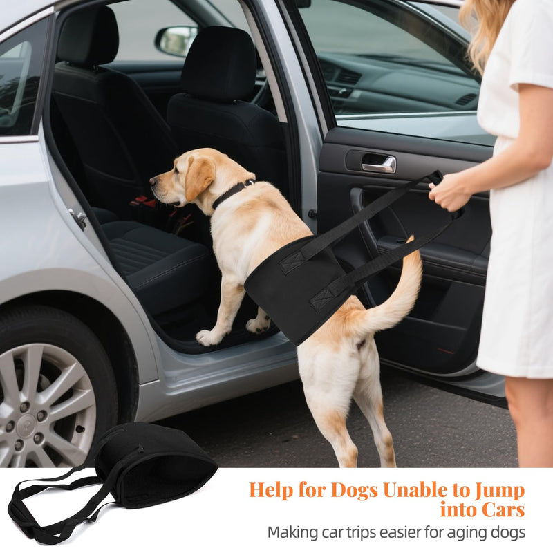 Dog Lift Harness, Heavy Duty Support Sling for Disabled & Injured Pets, Lifting Aid with Padded Handles, Post-Surgery Mobility Assistance for Dogs Small S - PawsPlanet Australia